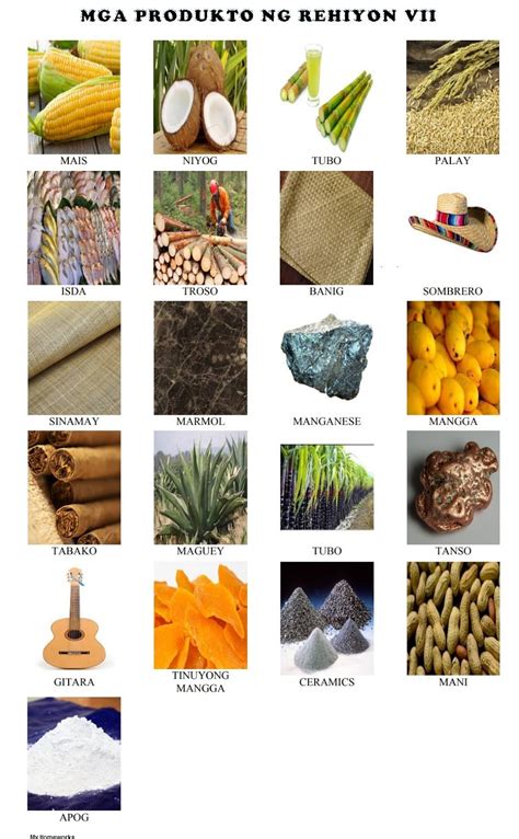 mga produkto halimbawa|Filipino Products: Mga Produkto Sa Bawat Rehiyon ng Pilipinas.